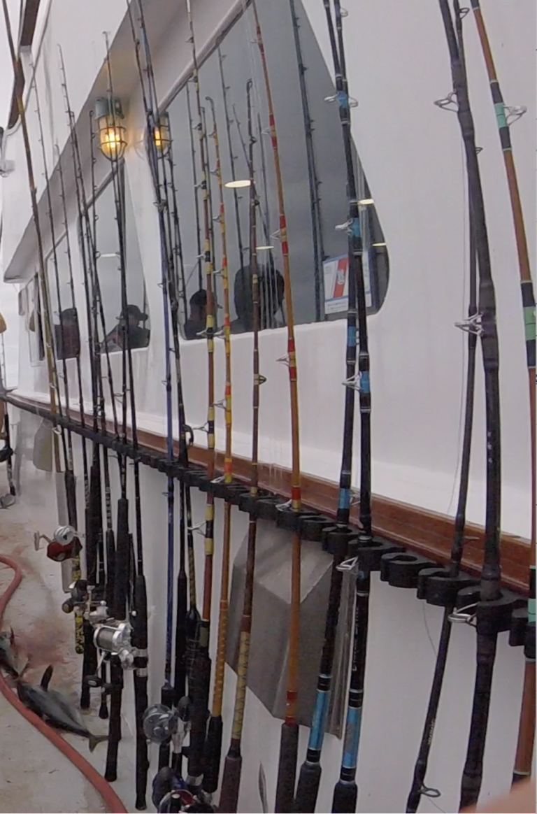phenix fishing rods