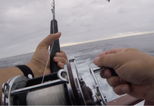 tuna fishing rods
