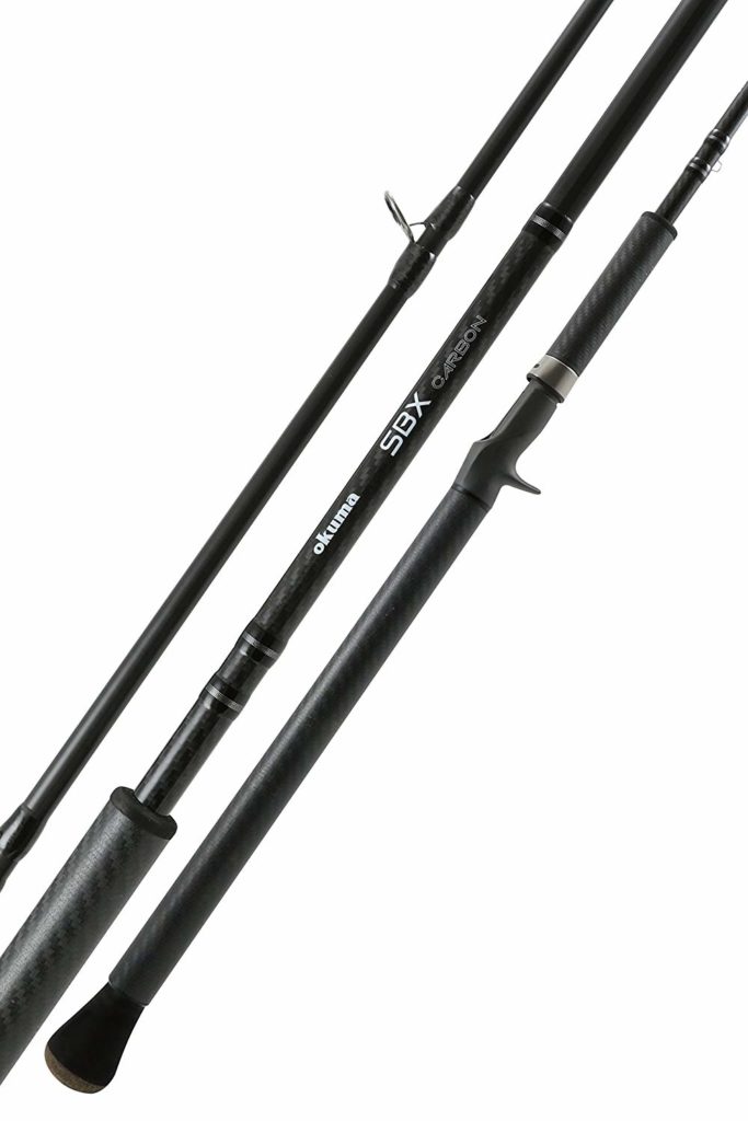 swimbait rod