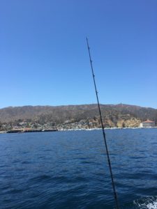 Catalina island fishing