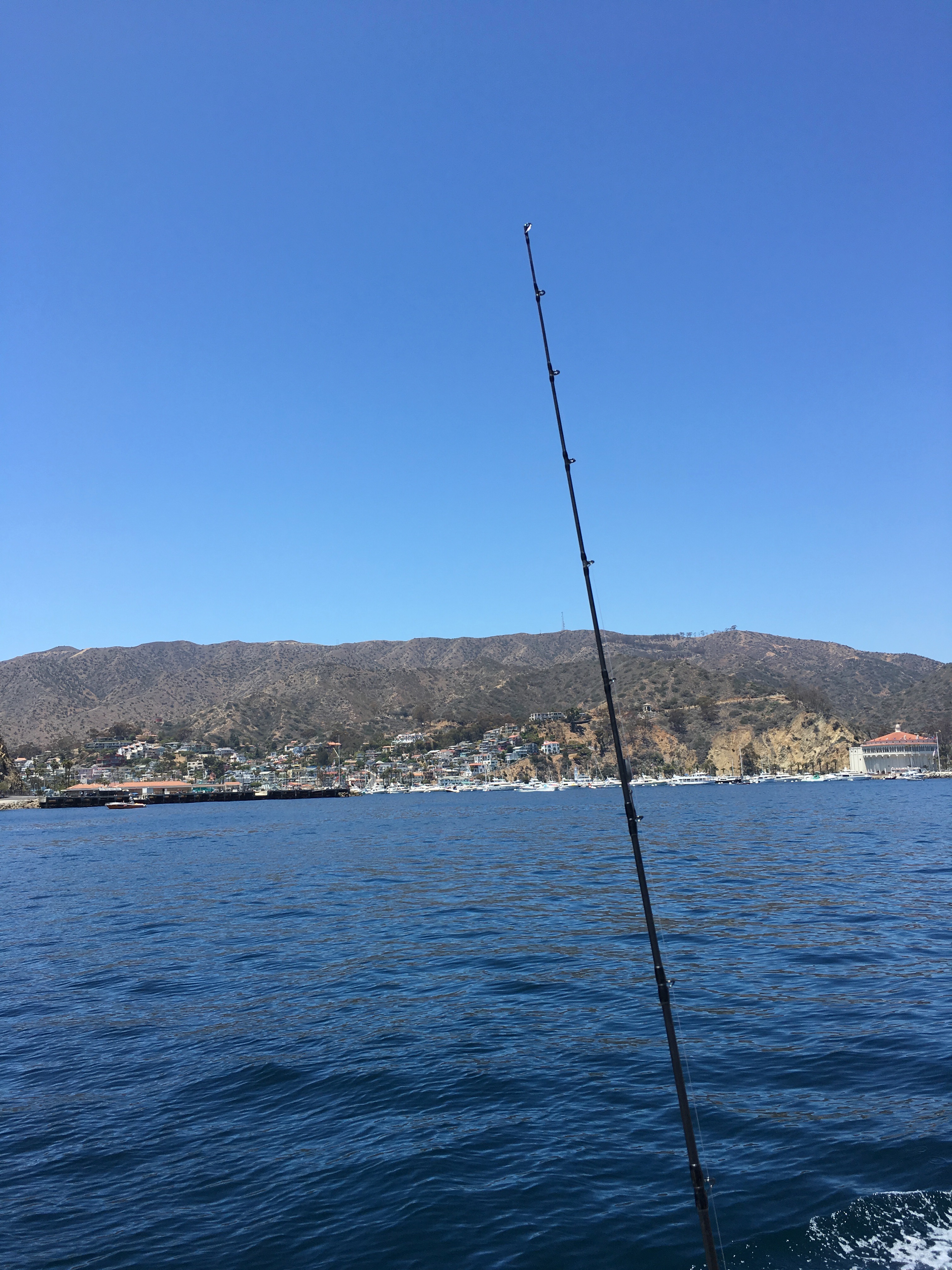 Catalina Island Fishing - Calico Bass - Beach to Ocean